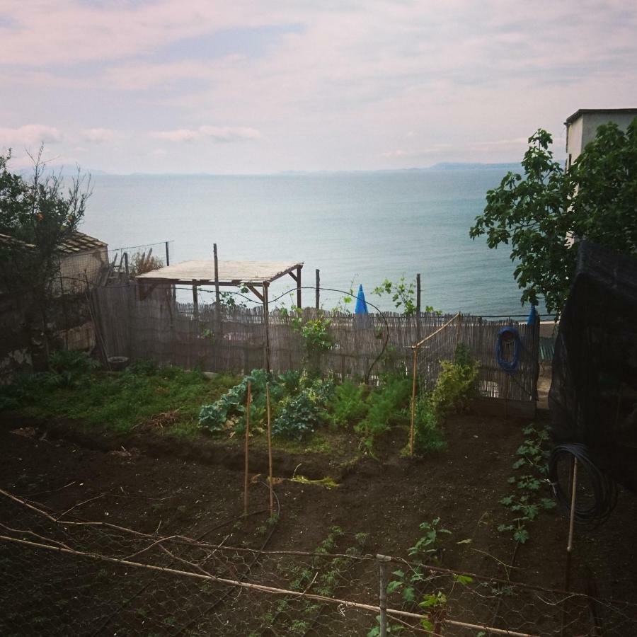 B&B Relax Мета Экстерьер фото